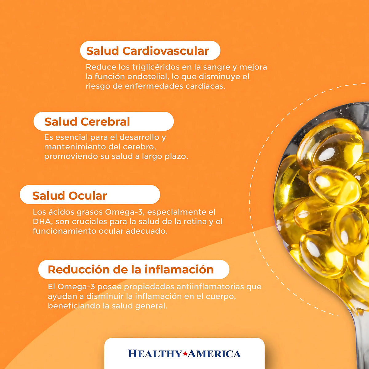 Omega 3 Healthy America 30 Capsulas Natural