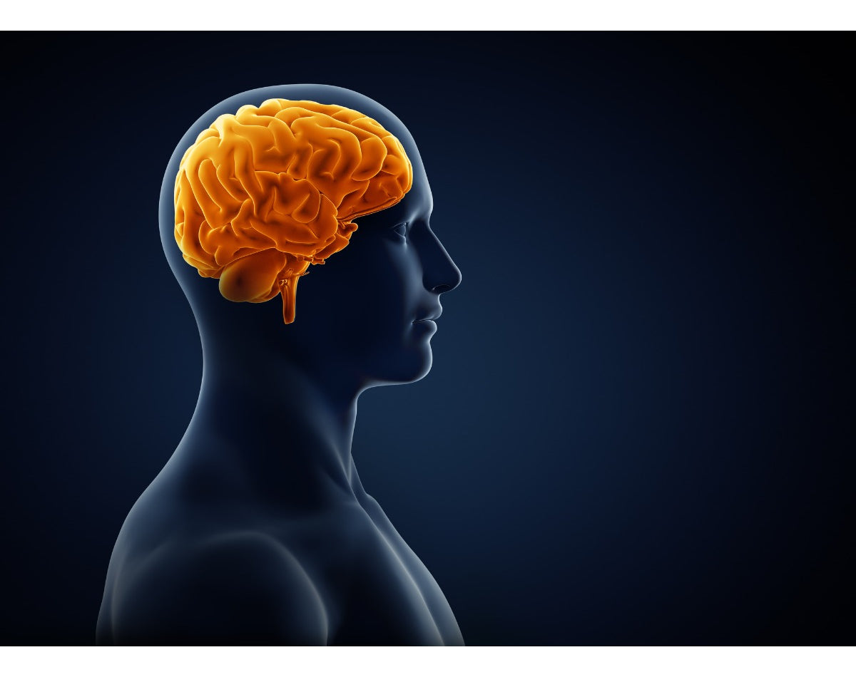 Omega 3 + Vitamina E 100 Cap Natural