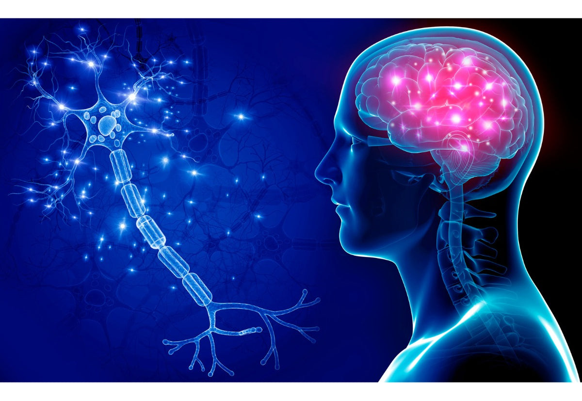 Omega 3 + Vitamina E 100 Cap Natural