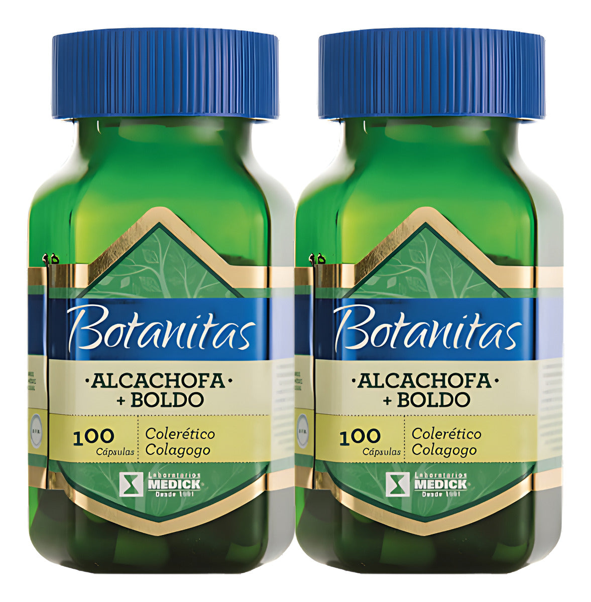 Suplemento Alcachofa + Boldo Promo X2 Natural